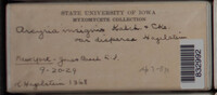 Image Associated With the Occurence